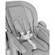 Стульчик для кормления Lotus Carrello , Alba Grey