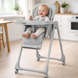 Стульчик для кормления Lotus Carrello , Alba Grey